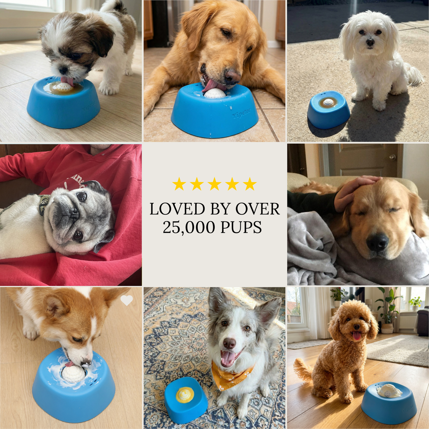 FurDreams™ Enrichment Lick Bowl