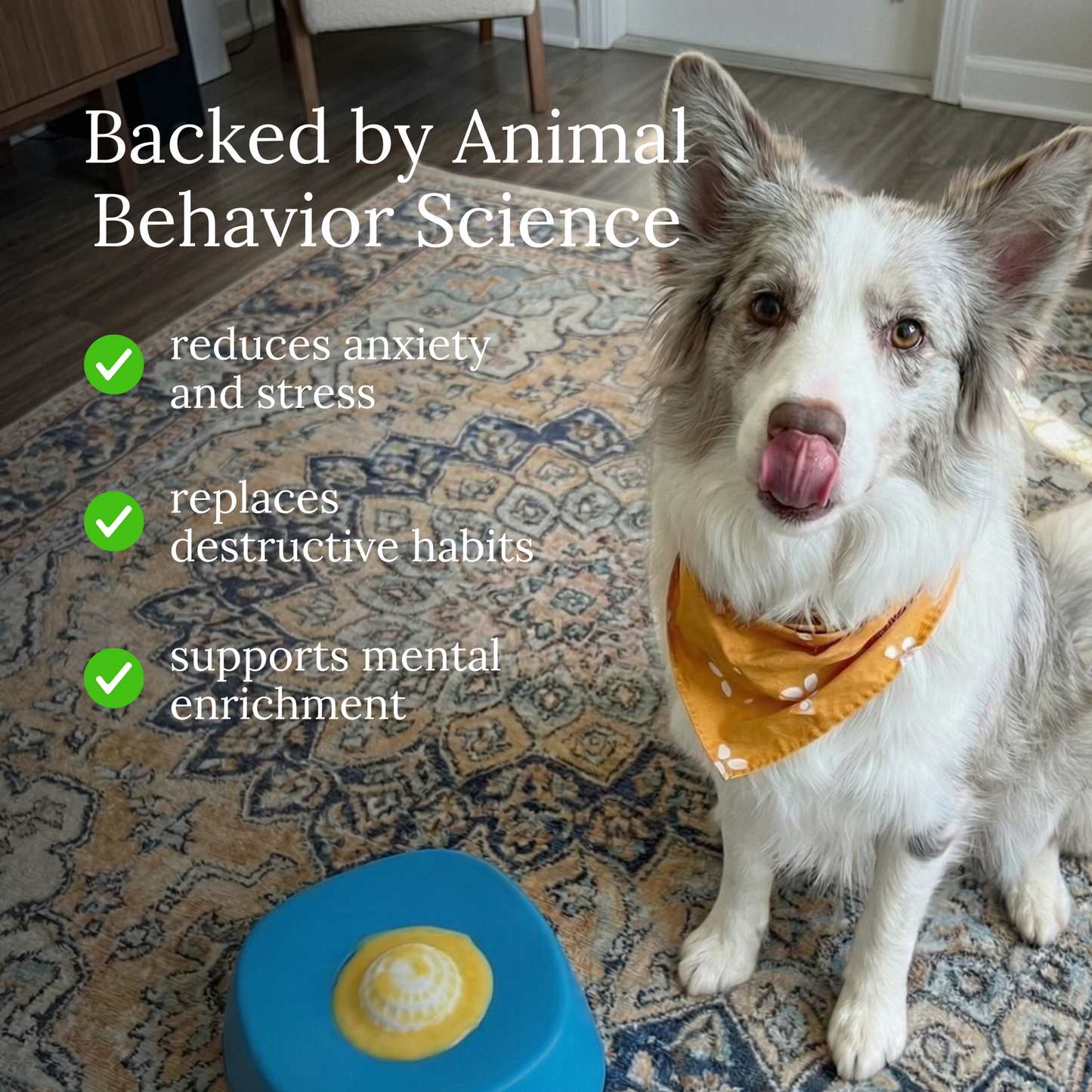 FurDreams™ Enrichment Lick Bowl